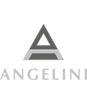 logo angelini